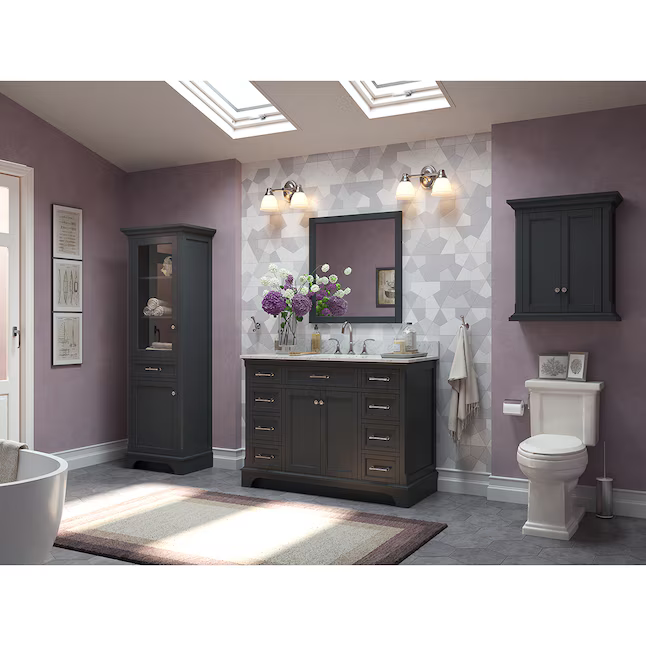 Alpine Reserve Roveland 26x28 Dark Gray Soft Close Bathroom Wall Cabinet, 2026WC-24-200, FINAL PRICE: $49.99 + Tax