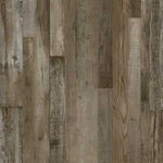 Petrified Forest Lite 7x48, *** On Special Order *** , Luxury Vinyl Plank Flooring, AR141, 20 Mil, 5mm, 40 Lbs, 10 Pcs, 23.64sf, Final Price: $1.99/sf