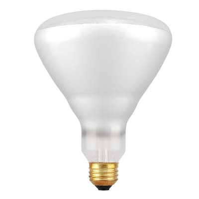 Sylvina Flood bulb 65w