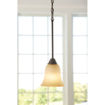 Portfolio Aged Bronze Craftsman Tinted Glass Bell Pendant, 34798 759865, MSRP: $49.98, CLEARANCE! SPECIAL DISCOUNT
