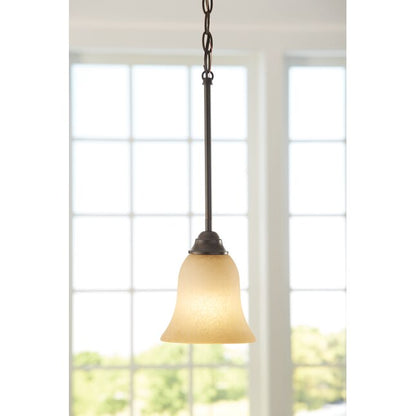 Portfolio Aged Bronze Craftsman Tinted Glass Bell Pendant, 34798 759865, MSRP: $49.98, CLEARANCE! SPECIAL DISCOUNT