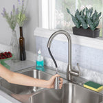 Project Source Tucker Stainless steel Single Handle Deck-mount Pull-down Kitchen Faucet with Sprayer (Includes Deck Plate)