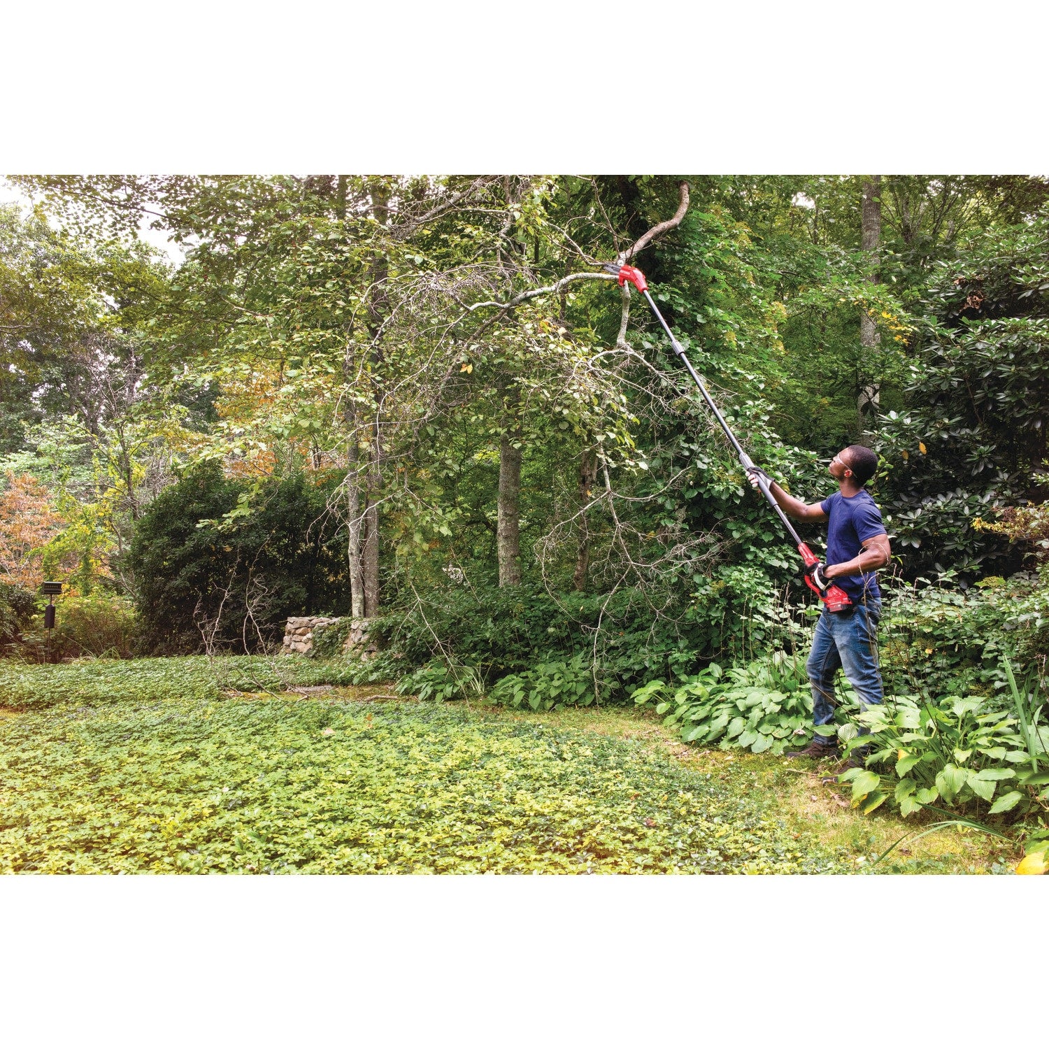 CRAFTSMAN V20 20-volt max 8.0-in 4 Ah Battery Pole Saw Battery Included , Charger Included
