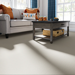 STAINMASTER PetProtect Sweet Spot II 12-FT Whitewashed Oak Off-white 58.5-oz sq yard Nylon Textured Indoor Carpet, 7L89300156   #4911243    PH62403  *HD2509, Retail: $2.99/sqft, FINAL PRICE: $1,499.99 + TAX