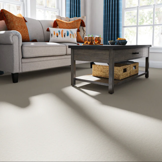 STAINMASTER PetProtect Sweet Spot II 12-FT Whitewashed Oak Off-white 58.5-oz sq yard Nylon Textured Indoor Carpet, 7L89300156   #4911243    PH62403  *HD2509, Retail: $2.99/sqft, FINAL PRICE: $1,499.99 + TAX