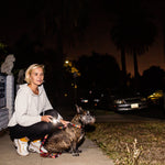 Lux-Pro 450-Lumen 4 -Adjustable Mode LED Rechargeable Flashlight
