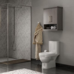 Ellen DeGeneres Greenwell 24-in Cashmere Wall Cabinet, 1656WC-24-247, FINAL PRICE: $49.99 + Tax