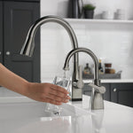 Delta Black Stainless Deck-mount Cold Water Dispenser