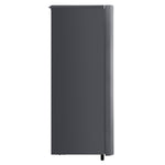 LG 5.8-cu ft Upright Freezer ( Platinum Silver ) ENERGY STAR Certified