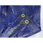 Project Source 16-ft x 20-ft Blue Waterproof Standard Polyethylene 5-mil Tarp, CH16X20-L #0186793, MSPR: $49.98, Final Price: $29.99 + Tax