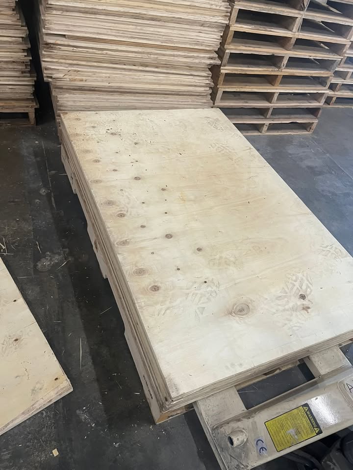 Plywood Sheet *NOT First Quality* CASH ONLY