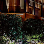 Harbor Breeze 70 -Lumens 2 -Watt Bronze Low voltage Hardwired LED Outdoor Deck light 3000-K, RETAIL: $24.98, FINAL PRICE: $13.99 + TAX