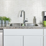 Project Source Tucker Chrome Single Handle Deck-mount Pull-down Kitchen Faucet with Sprayer (Includes Deck Plate
