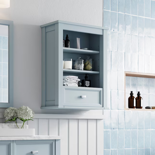 Alpine Reserve Canterbury 24-in Light Blue Wall Cabinet, 1227WC-24-287, FINAL PRICE: $49.99 + Tax