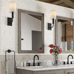 Ellen DeGeneres Valerosa 22-in x 30-in Framed Bathroom Vanity Mirror (Rustic Taupe Oak), 1658MR-22-267, FINAL PRICE: $39.99 + Tax