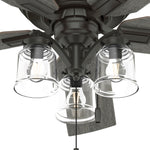 Hunter Maya 54-in Noble Bronze Ceiling Fan With Light and Pull Chain Included