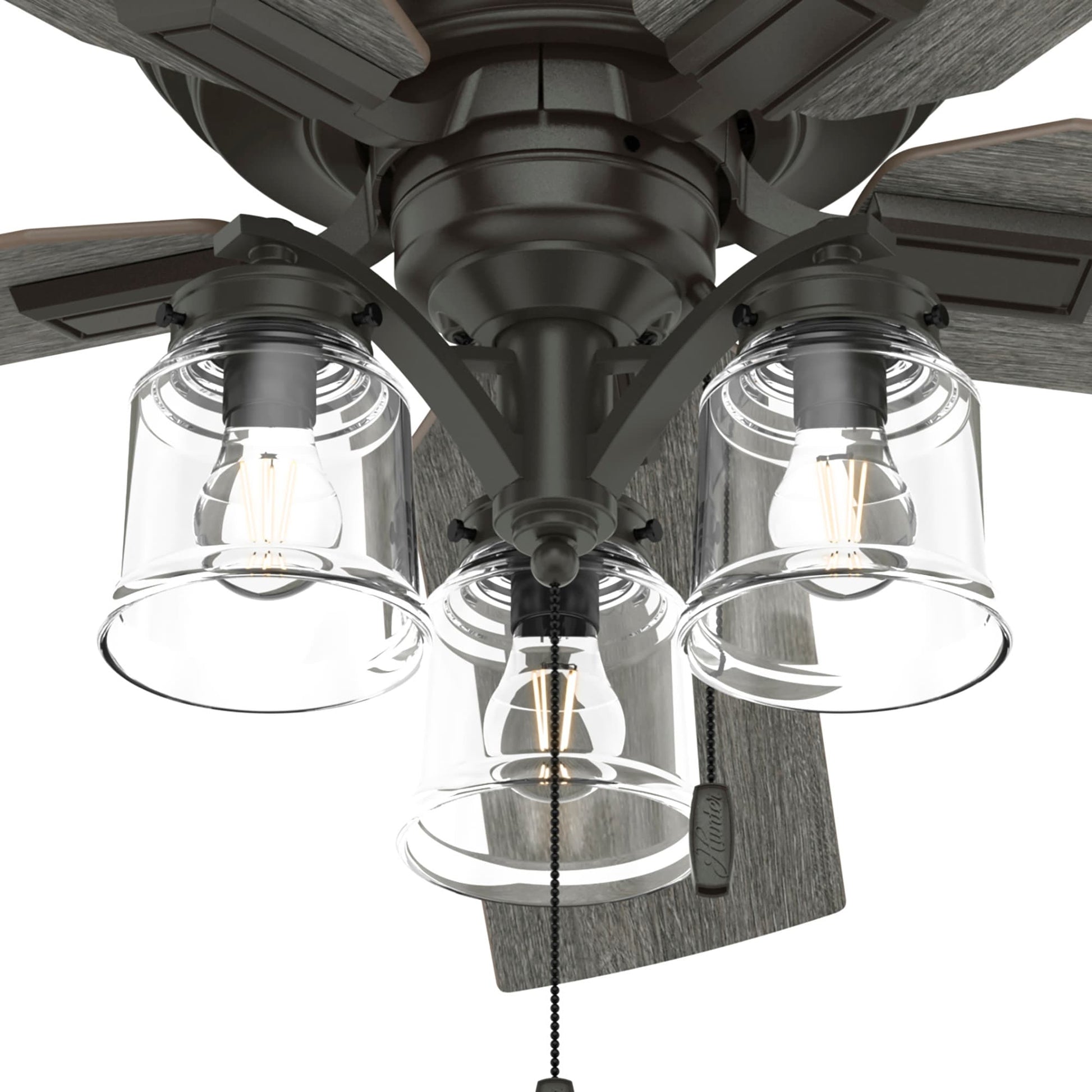Hunter Maya 54-in Noble Bronze Ceiling Fan With Light and Pull Chain Included
