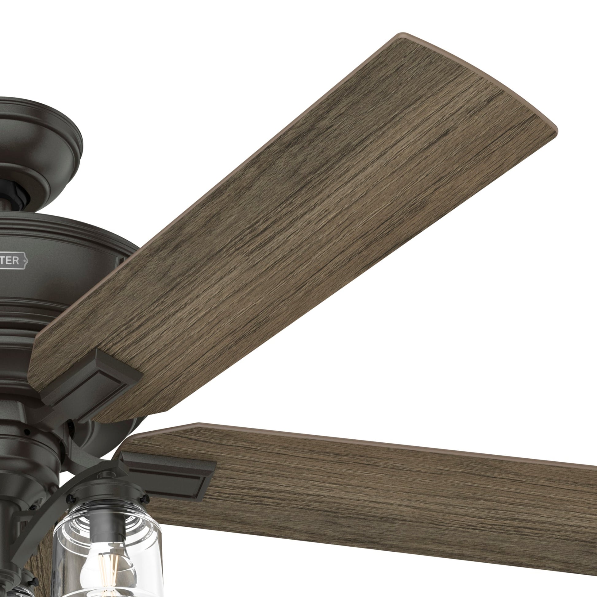 Hunter Maya 54-in Noble Bronze Ceiling Fan With Light and Pull Chain Included
