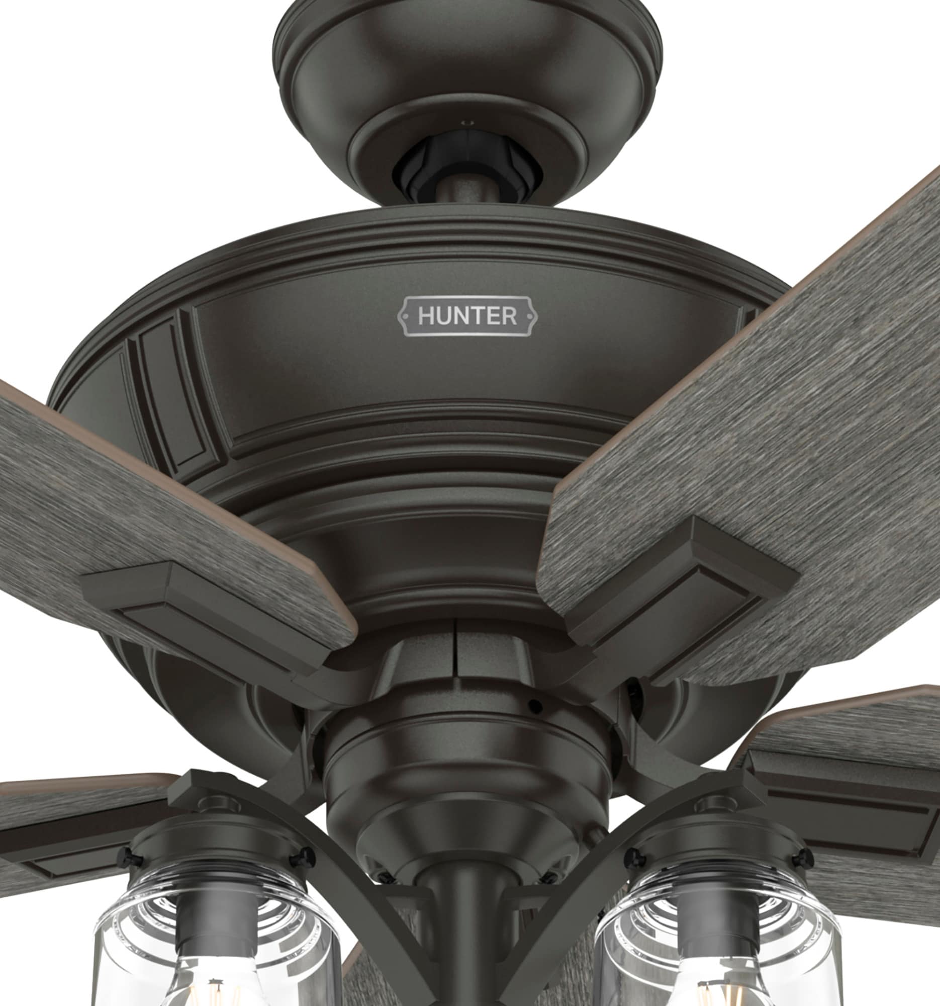 Hunter Maya 54-in Noble Bronze Ceiling Fan With Light and Pull Chain Included
