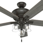Hunter Maya 54-in Noble Bronze Ceiling Fan With Light and Pull Chain Included