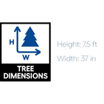 National Tree Company 7.5-ft Kingswood Fir Pre-lit Slim Artificial Christmas Tree with LED Lights, KW7-D52-75  1274079 *HD24, MSRP: $374.00, - FINAL: