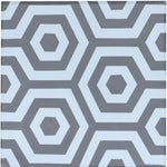 Modern Hex 8x8 Floor & Wall Tile, SF190033, 5.78sf, 13pcs, 40lbs, FINAL PRICE: $0.99/sf, $5.72/bx + Tax