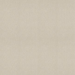 STAINMASTER PetProtect Sweet Spot II 12-FT Whitewashed Oak Off-white 58.5-oz sq yard Nylon Textured Indoor Carpet, 7L89300156   #4911243    PH62403  *HD2509, Retail: $2.99/sqft, FINAL PRICE: $1,499.99 + TAX