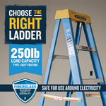 Werner FS100 6-ft ( 10-ft Reach Height ) Fiberglass Type 1 - 250 lbs. Load Capacity Step ladder, FS106