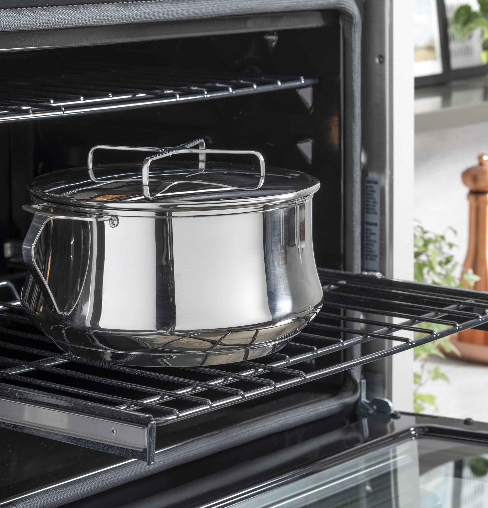 Luxury Cafe Professional 30 inch Double Electric Wall Oven with Air Fry Self + Steam Cleaning