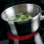 GE 30-in Glass Top 4 burners 4.4-cu ft Drop-In Electric Range ( Black ), JD630ST3SS, FINAL PRICE: $1,299.99