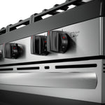 Frigidaire 30-in 5 burners 5.1-cu ft Freestanding Natural Gas Range ( Stainless Steel )