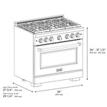 ZLINE KITCHEN & BATH Paramount 36-in Standard 6 burners Convection Oven Freestanding Dual Fuel Range ( Stainless Steel,