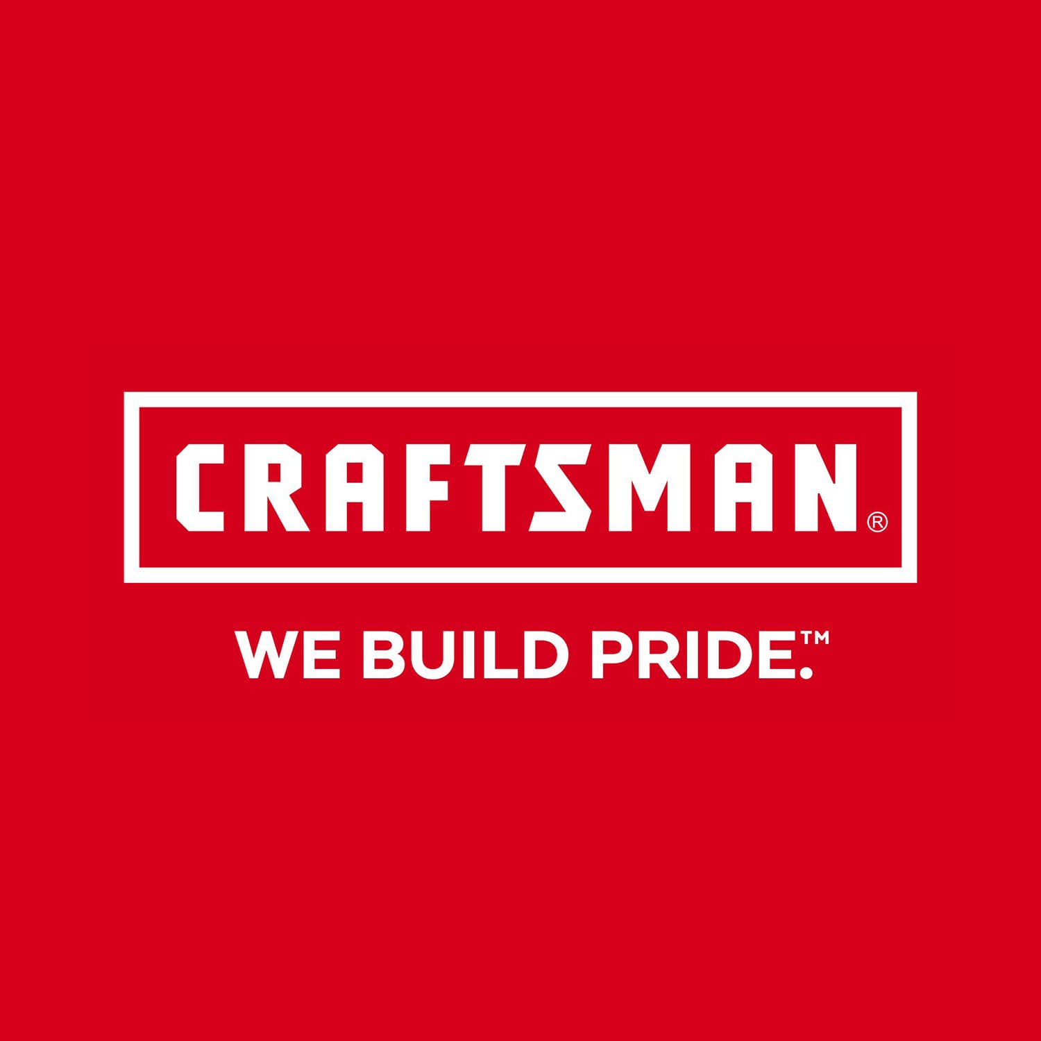 CRAFTSMAN Bin System 30-Compartment Plastic Small Parts Organizer