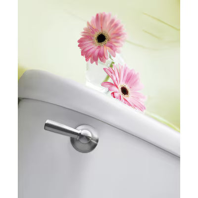 Moen Sage 6-in Front/Side/Neo-angle Mount Brushed Nickel Universal Fit Handle with lever, DN6801BN, Retail: $18.44, CLEARANCE PRICE: $8.99 + Tax