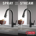 Delta Essa Matte Black Single Handle Deck-mount Pull-down Kitchen Faucet with Sprayer (Includes Deck Plate)