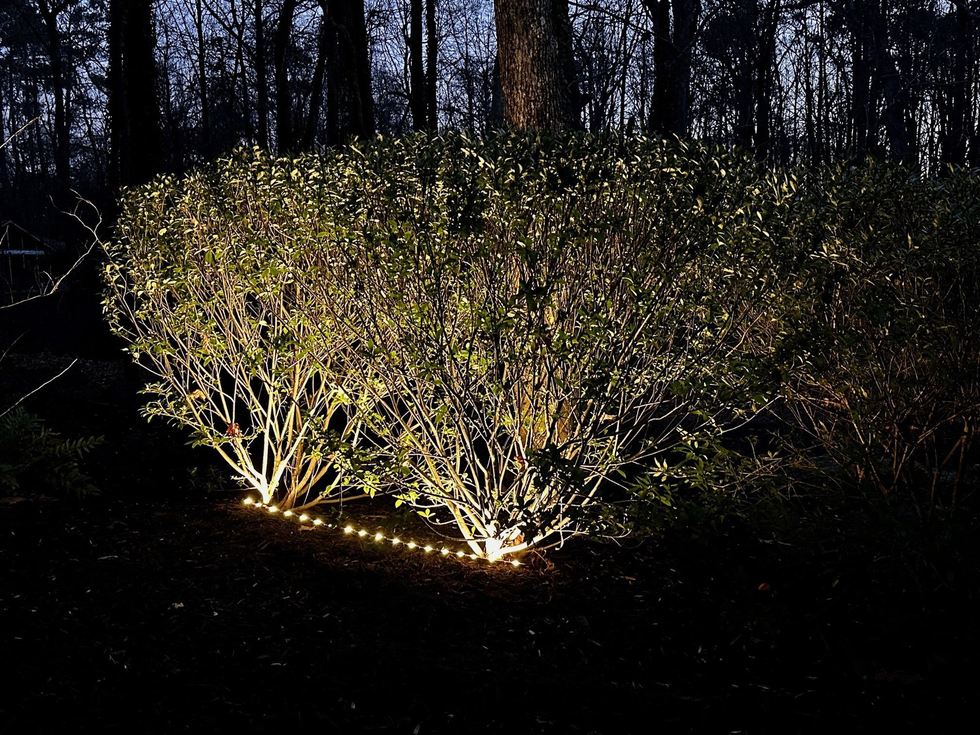 Harbor Breeze 400 -Lumens Specilaty Textured Bronze Low voltage Hardwired LED Outdoor Path Light ( 3000-K ), RETAIL: $37.98, FINAL PRICE: $21.99 + TAX
