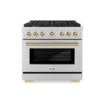 ZLINE KITCHEN & BATH Paramount 36-in Standard 6 burners Convection Oven Freestanding Dual Fuel Range ( Stainless Steel,