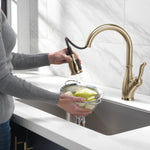 Delta Leland Single Handle Pull-Down Kitchen Faucet with ShieldSpray Technology in Champagne Bronze, MSRP: $439, FINAL PRICE: $199.99 + TAX