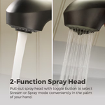 Pfister Shelton Matte Black Double Handle Deck-Mount Kitchen Faucet (Includes Deck Plate) (Includes Soap Dispenser), F-WKP-701B *JR2510, Retail: $129.00, FINAL PRICE: $77.99 + TAX