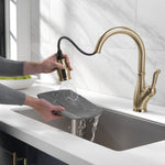 Delta Leland Single Handle Pull-Down Kitchen Faucet with ShieldSpray Technology in Champagne Bronze, MSRP: $439, FINAL PRICE: $199.99 + TAX
