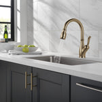Delta Leland Single Handle Pull-Down Kitchen Faucet with ShieldSpray Technology in Champagne Bronze, MSRP: $439, FINAL PRICE: $199.99 + TAX