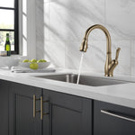 Delta Leland Single Handle Pull-Down Kitchen Faucet with ShieldSpray Technology in Champagne Bronze, MSRP: $439, FINAL PRICE: $199.99 + TAX