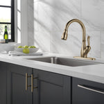 Delta Leland Single Handle Pull-Down Kitchen Faucet with ShieldSpray Technology in Champagne Bronze, MSRP: $439, FINAL PRICE: $199.99 + TAX
