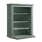 Alpine Reserve Canterbury 24-in x 30-in x 10-in Sea Green Soft Close Bathroom Wall Cabinet, 1227WC-24-326, FINAL PRICE: $49.99 + Tax