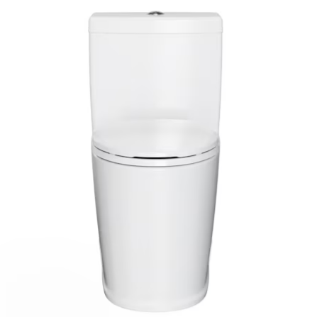 Project Source White Dual Flush Elongated Chair height Soft Close 1-piece Toilet 12-in Rough-In WaterSense 1.6 GPF, MT-60108DL