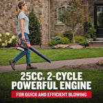 CRAFTSMAN B2200 25-cc 2-cycle 430-CFM 200-MPH Gas Handheld Leaf Blower