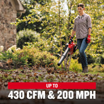 CRAFTSMAN B2200 25-cc 2-cycle 430-CFM 200-MPH Gas Handheld Leaf Blower