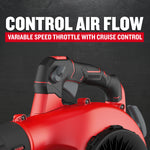 CRAFTSMAN B2200 25-cc 2-cycle 430-CFM 200-MPH Gas Handheld Leaf Blower