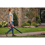CRAFTSMAN B2200 25-cc 2-cycle 430-CFM 200-MPH Gas Handheld Leaf Blower