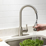 Project Source Tucker Stainless steel Single Handle Deck-mount Pull-down Kitchen Faucet with Sprayer (Includes Deck Plate)